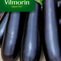 Vilmorin Graines D'Aubergine De Barbentane