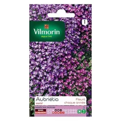 Graines D'Aubriétia Varié Vilmorin