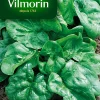 Graines D'Epinard Géant D'Hiver Vilmorin