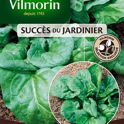 Graines D'Epinard Parys Hybride F1 Vilmorin