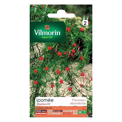 Vilmorin Graines D'Ipomée Quamoclit 3 Vilmorin Graines D'Ipomée Quamoclit