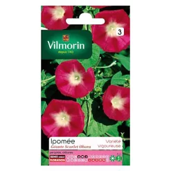 Vilmorin Graines D'Ipomée Scarlet O'Hara