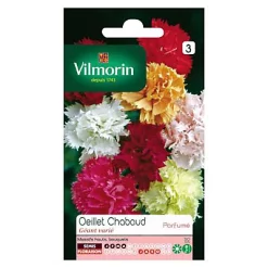 Graines D'Oeillet Chabaud Géant Varié Vilmorin