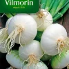 Graines D'Oignon Blanc Hatif De Paris Vilmorin -Terreau, gazon, traitement, végétal, semence boutique graines d oignon blanc hatif de paris vilmorin3211500008046 01c FR CF