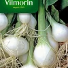 Graines D'Oignon Blanc Premier Vilmorin -Terreau, gazon, traitement, végétal, semence boutique graines d oignon blanc premier vilmorin3211500012227 01c FR CF