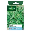 Vilmorin Graines D'Origan Marjolaine Vivace