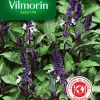 Vilmorin Graines De Basilic Blue Spice VL 2 -Terreau, gazon, traitement, végétal, semence boutique graines de basilic blue spice vl 23182670275821 01c FR CF