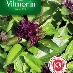 Vilmorin Graines De Basilic Thaï VL 2