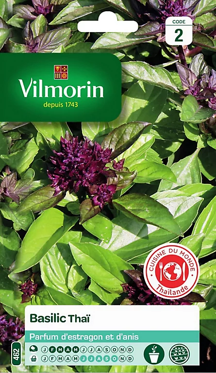 Vilmorin Graines De Basilic Thaï VL 2 3 Vilmorin Graines De Basilic Thaï VL 2