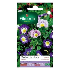 Graines De Belle De Jour Variée Vilmorin