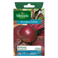 Vilmorin Graines De Betterave Grenade Hybride F1