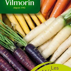 Vilmorin Graines De Carotte Mélange De Couleurs