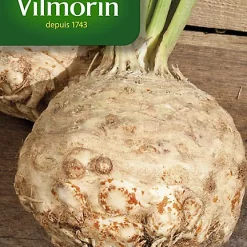 Vilmorin Graines De Céleri Rave Monarch