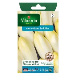 Vilmorin Graines De Chicorée De Bruxelles Crenoline Hybride F1