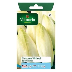Vilmorin Graines De Chicorée De Bruxelles
