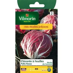 Vilmorin Graines De Chicorée Sauvage Palla Rossa
