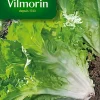 Vilmorin Graines De Chicorée Scarole Cornet De Bordeaux 1 Vilmorin Graines De Chicorée Scarole Cornet De Bordeaux -Terreau, gazon, traitement, végétal, semence boutique graines de chicoree scarole cornet de bordeaux3211500007131 01c FR CF