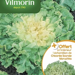 Vilmorin Graines De Chicorée Scarole Ronde Verte à Coeur Plein