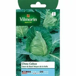 Vilmorin Graines De Chou Cabus Coeur De Boeuf Moyen De La Halle