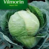 Vilmorin Graines De Chou Cabus Tête De Pierre Hybride F1 -Terreau, gazon, traitement, végétal, semence boutique graines de chou cabus tete de pierre hybride f13211500007230 01c FR CF