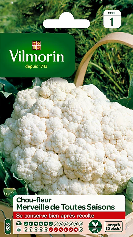 Vilmorin Graines De Chou Fleur Merveille Toutes Saisons 3 Vilmorin Graines De Chou Fleur Merveille Toutes Saisons