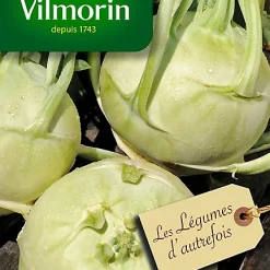 Graines De Chou Rave Blanc Hâtif De Vienne Vilmorin