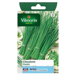 Vilmorin Graines De Ciboulette Civette