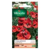 Graines De Coquelicot Simple Rouge Vilmorin