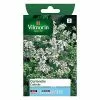 Vilmorin Graines De Coriandre Cultivée
