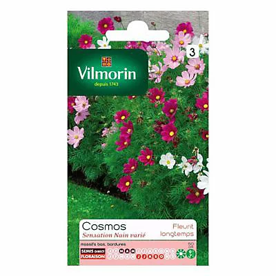 Vilmorin Graines De Cosmos Sensation Nain 3 Vilmorin Graines De Cosmos Sensation Nain