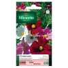Vilmorin Graines De Cosmos Sensation Varié