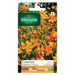 Vilmorin Graines De Cosmos Sulphureus Carioca