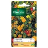 Graines De Cosmos Sulphureus Varié Vilmorin -Terreau, gazon, traitement, végétal, semence boutique graines de cosmos sulphureus varie vilmorin3211500009050 08c
