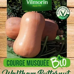 Vilmorin Graines De Courge Butternut Bio
