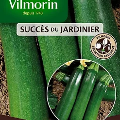 Vilmorin Graines De Courgette Anissa HF1