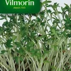 Graines De Cresson Alénois Commun Vilmorin