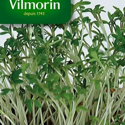 Graines De Cresson Alénois Commun Vilmorin