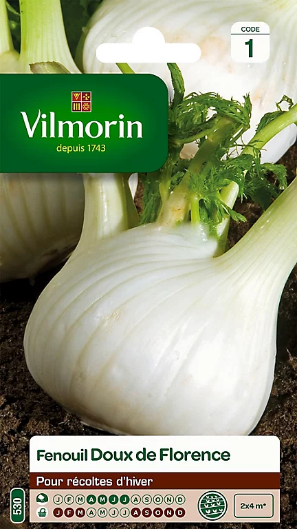Graines De Fenouil Doux De Florence Vilmorin 3 Graines De Fenouil Doux De Florence Vilmorin