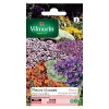 Graines De Fleurs En Mélange Vivaces Pour Rocailles Vilmorin -Terreau, gazon, traitement, végétal, semence boutique graines de fleurs en melange vivaces pour rocailles vilmorin3211500010889 08c