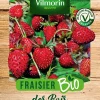 Vilmorin Graines De Fraisier Bio