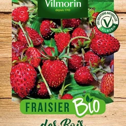 Vilmorin Graines De Fraisier Bio