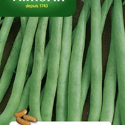 Vilmorin Graines De Haricot Nain Mangetout Contender