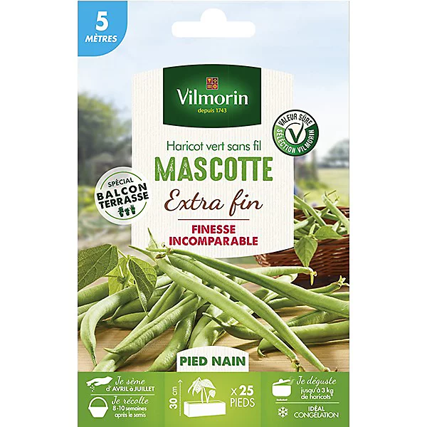 Vilmorin Graines De Haricot Nain Mascotte 10m 3 Vilmorin Graines De Haricot Nain Mascotte 10m