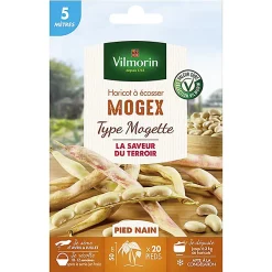 Vilmorin Graines De Haricot Nain Mogex 20m
