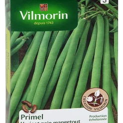 Vilmorin Graines De Haricot Nain Primel