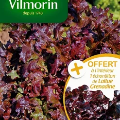 Graines De Laitue à Couper Salad Bowl Rouge Vilmorin