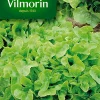 Graines De Laitue à Couper Salad Bowl Verte Vilmorin