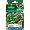 Vilmorin Graines De Laitue Batavia Kamikaze