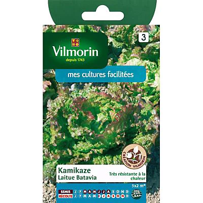 Vilmorin Graines De Laitue Batavia Kamikaze 3 Vilmorin Graines De Laitue Batavia Kamikaze