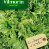 Graines De Laitue Batavia Reine Des Glaces Vilmorin 1 Graines De Laitue Batavia Reine Des Glaces Vilmorin -Terreau, gazon, traitement, végétal, semence boutique graines de laitue batavia reine des glaces vilmorin3211500007612 01c FR CF